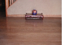 P1010008 (4).JPG