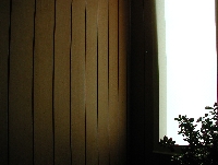 P1010018.JPG